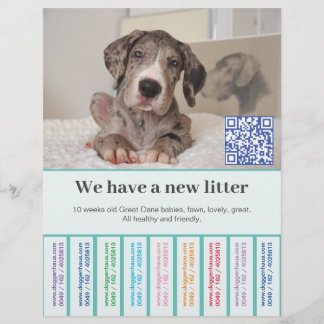 How to Sell Dane Puppies Color Flyer