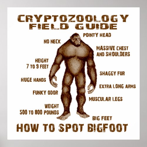 HOW TO SPOT BIGFOOT _ Cryptozoology Field Guide Poster