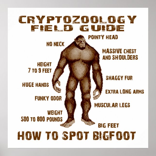 HOW TO SPOT BIGFOOT - Cryptozoology Field Guide Poster (Front)