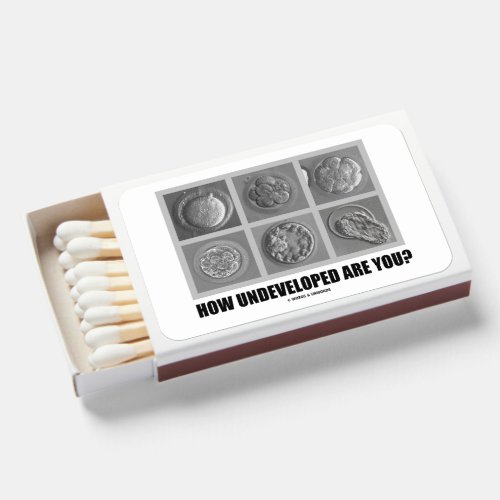 How Undeveloped Are You Embryos Zygotes Matchboxes