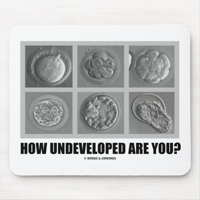 How Undeveloped Are You? Embryos Zygotes Mouse Pad (Front)