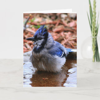 How was your day Card