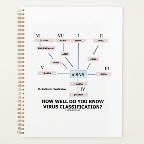 How Well Do You Know Virus Classification Planner