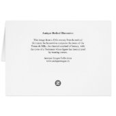 How Women Suffer for Beauty: The Impact of Corsets (Back Horizontal)