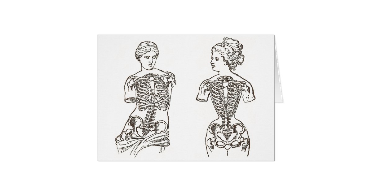 How Women Suffer for Beauty The Impact of Corsets Zazzle