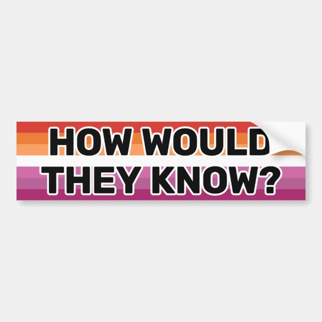 How Would They Know Black Lesbian Flag (2018) Bumper Sticker (Front)