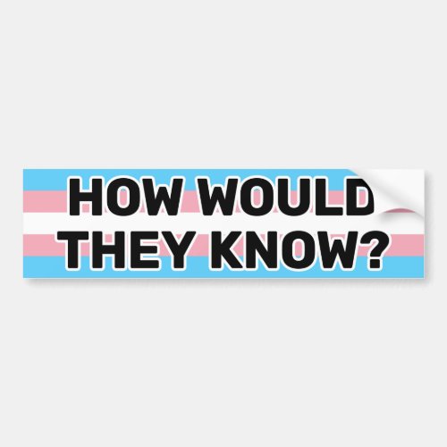 How Would They Know Black Trans Pride Flag Funny Bumper Sticker