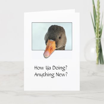 How Ya Doing? Anything New? Card by Madddy at Zazzle