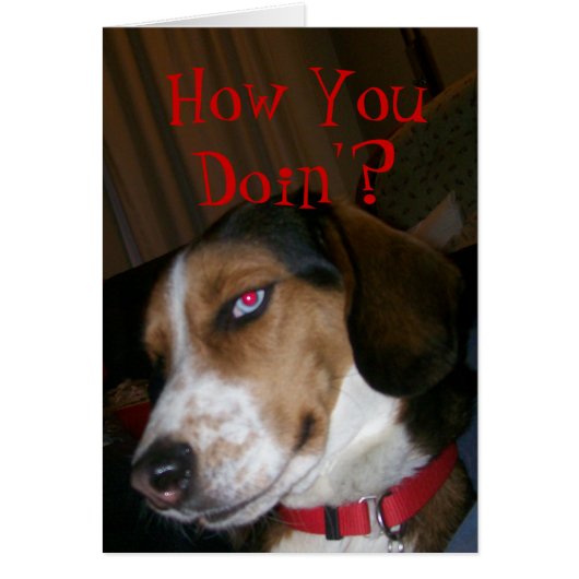 How You Doin'? Cards (Front)