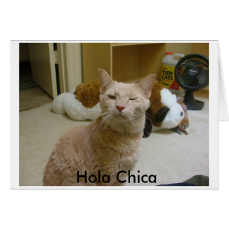 How you doin?, Hola Chica Cards