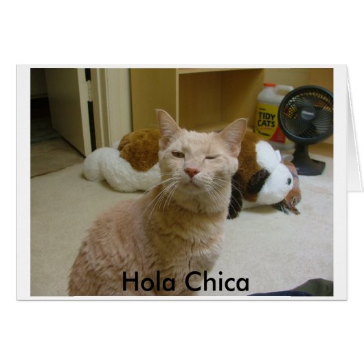 How you doin?, Hola Chica Cards (Front Horizontal)
