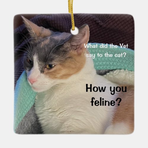 How you feline  ceramic ornament