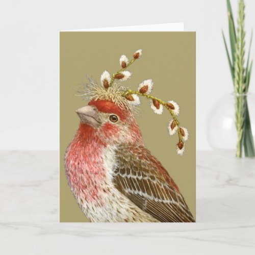 Howard the house finch card