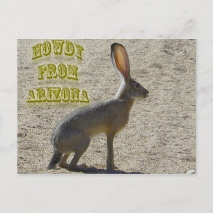 Howdy From Arizona Postcard