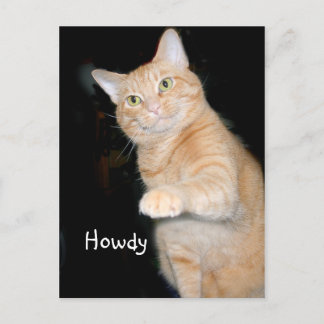 Howdy Postcard