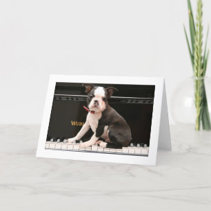 Howie on the Piano Card