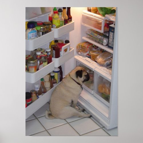 Howie Pee Pugpants Raids the Fridge Poster