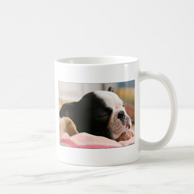 Howie takes a nap Mug (Right)