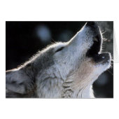 howl (Front Horizontal)