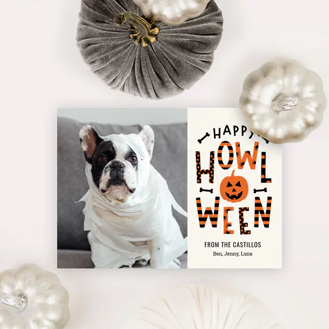 Howl-O-Ween Pet Halloween Photo Card
