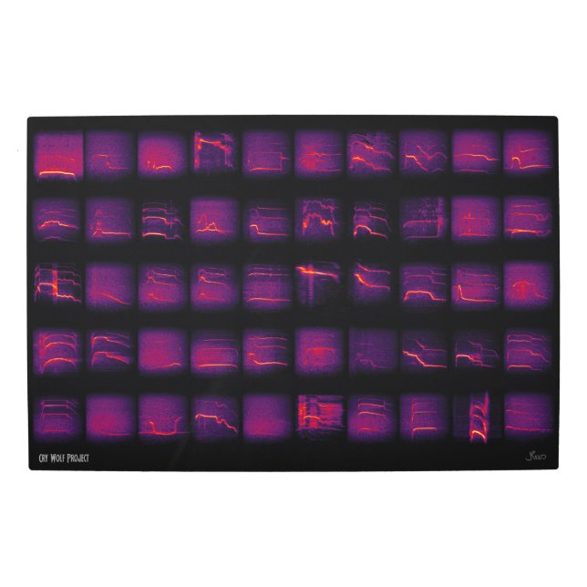 Howl: The Secret Language of Wolves Metal Print (Front)