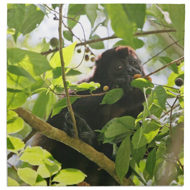 Howler Monkey Eating in the Jungle Napkin (Front)