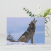 Howling Alaskan Timber Wolf (Standing Front)