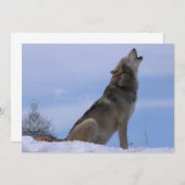 Howling Alaskan Timber Wolf (Front/Back)