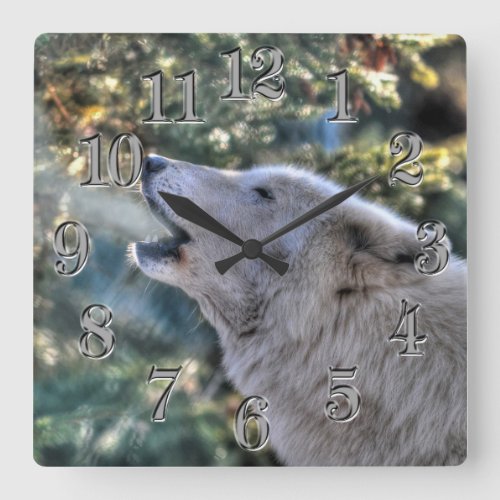 Howling Arctic Grey Wolf Photo Portrait Square Wall Clock