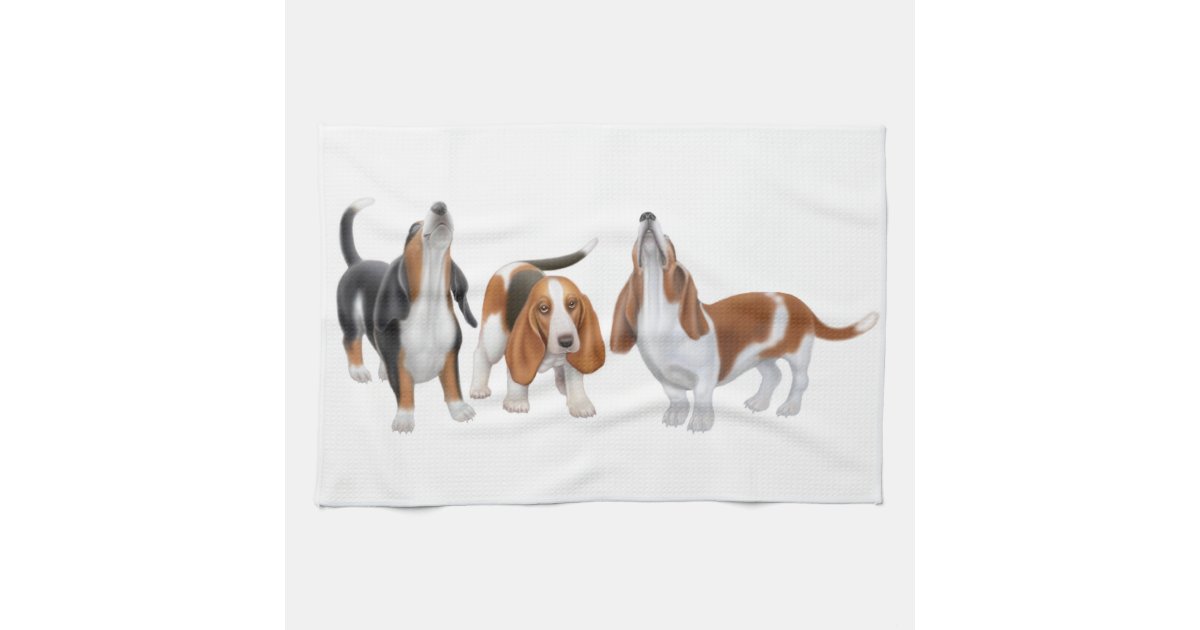 how old do basset hounds start to howl