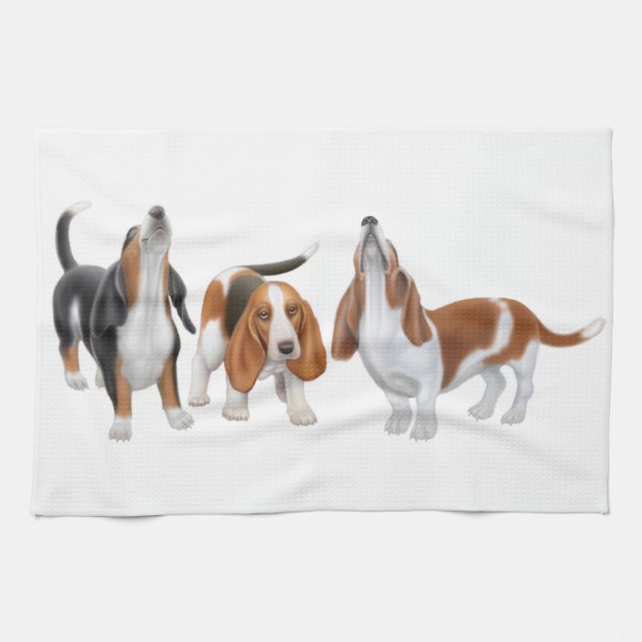 basset hound howling