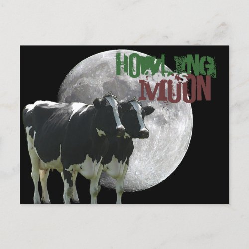 Howling Cows Moon Postcard