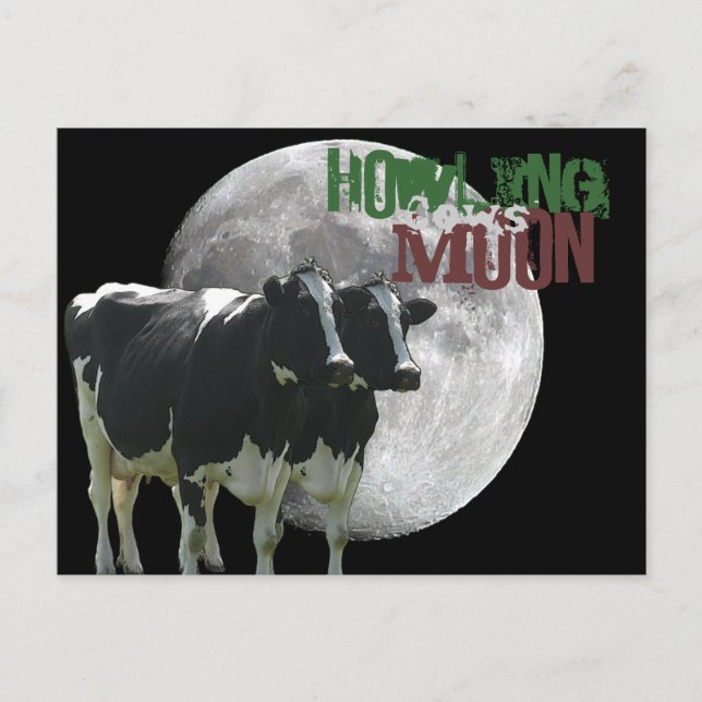 Howling Cows Moon Postcard (Front)