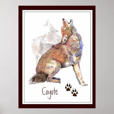 Howling Coyote Animal Nature Poster