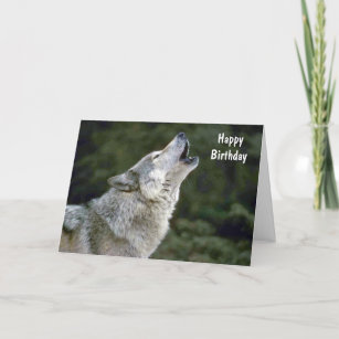 Howling gray wolf beautiful custom birthday card