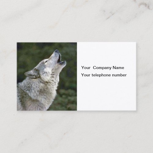 Howling gray wolf photo custom business card