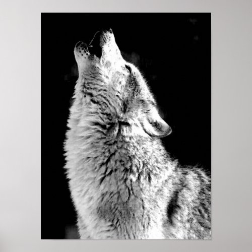 Howling Grey Wolf at Night Poster Print