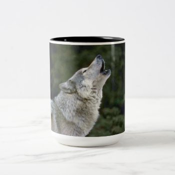 Howling Grey Wolf Beautiful Photo Portrait  Gift Two-tone Coffee Mug by roughcollie at Zazzle