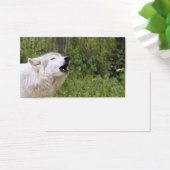 Howling timber wolf 3 (Desk)