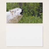 Howling timber wolf 3 (Front & Back)