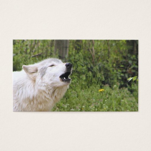 Customizable Howling timber wolf 3 business card template