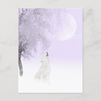 Howling White Wolf Postcard by deemac2 at Zazzle