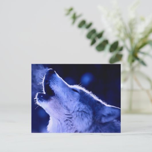 Howling Wolf (Standing Front)