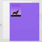 Howling Wolf at Sunset - Original Wildlife Art (Front/Back)