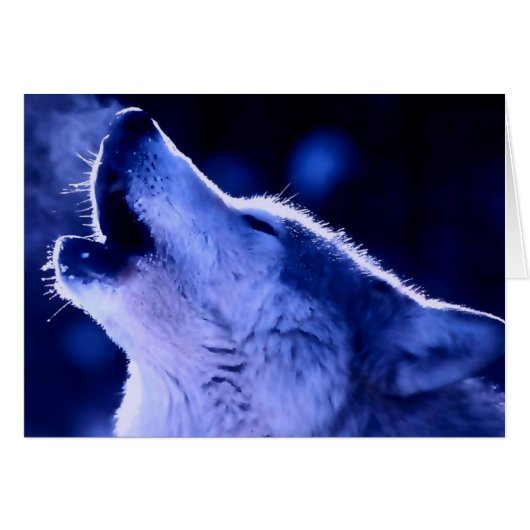 Howling Wolf Cards (Front Horizontal)
