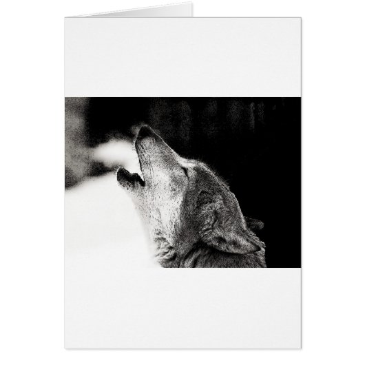 Howling Wolf Cards (Front)