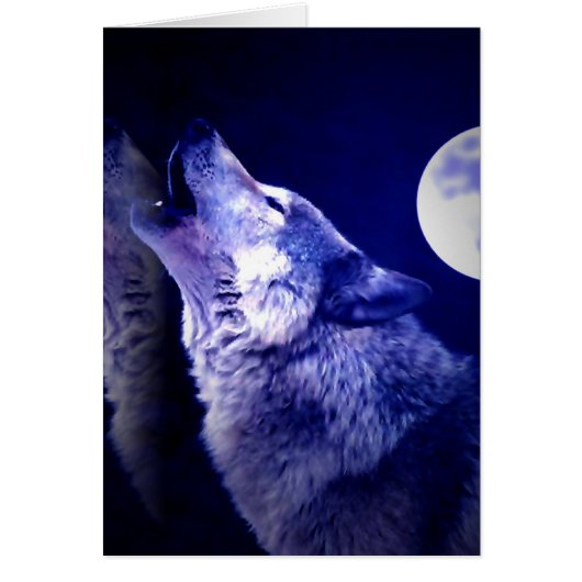 Howling Wolf Cards (Front)