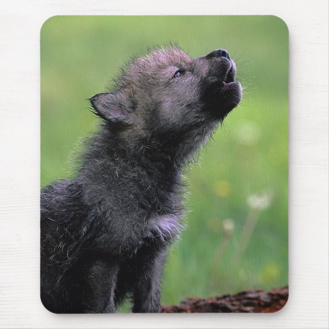 Howling Wolf Cub Mouse Pad (Front)