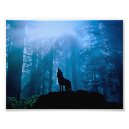 Howling Wolf in Wilderness Photo Print