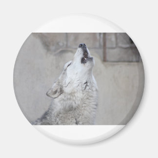 Howling Wolf Magnet